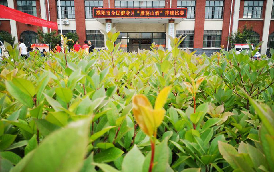 濮陽(yáng)市全民健身月“雁蕩山酒”排球比賽圓滿(mǎn)落下帷幕